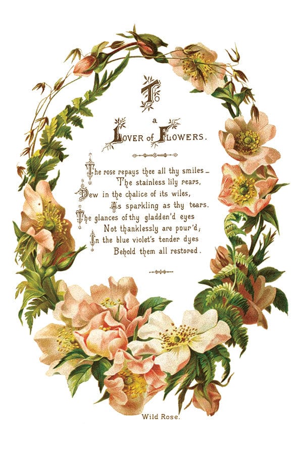 Lover of Flowers Transfer by IOD Pickin' Boots Vintage